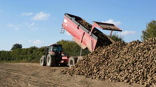 ✅ ICMS no Agronegócio: Erros comuns que podem prejudicar sua recuperação de créditos